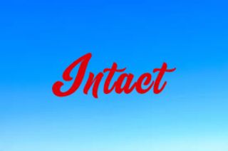 Intact - Screenshot 1