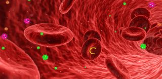 Virus Killer - Screenshot 1