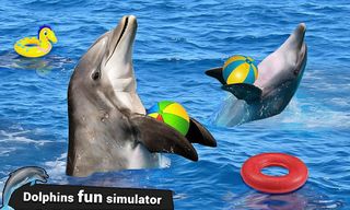Dolphin Water Stunts Show - Screenshot 3