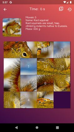Animals - Slide Puzzle - Screenshot 2
