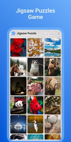 Jigsaw Puzzles - Screenshot 1