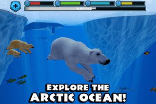 Polar Bear Simulator - Screenshot 3