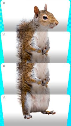 Close the tabs! - Screenshot 3