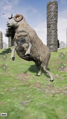 Virtual Pet Merino Sheep 2 - Screenshot 1