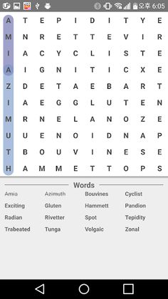 Word Search Master - Screenshot 3