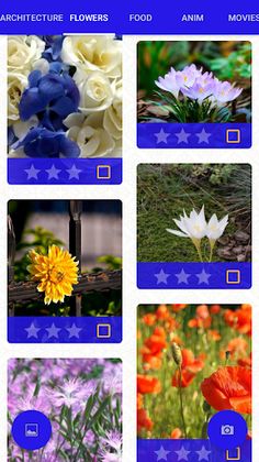 My Photo Jigsaw Puzzle - Screenshot 2