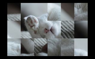 Adorable Cat Puzzles - Screenshot 3