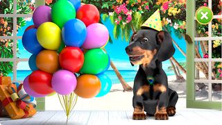 Puppy Tony: peacock floof lol - Screenshot 1