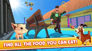 Pet Escape Games: Hide n Seek - Screenshot 1