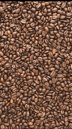 Find Yeezy - Screenshot 2