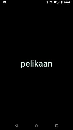 Pictionary Nederlandse woorden - Screenshot 3