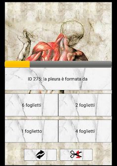 L'Anatomista il quiz Italiano  - Screenshot 3