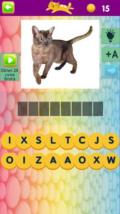 Gatos quiz el Reto para los am - Screenshot 2