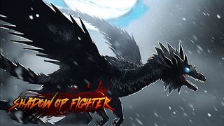 Shadow of Fighter - Screenshot 2