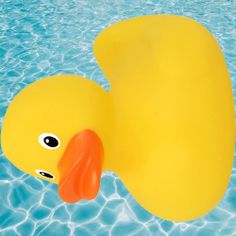 Pato Girando - Screenshot 4