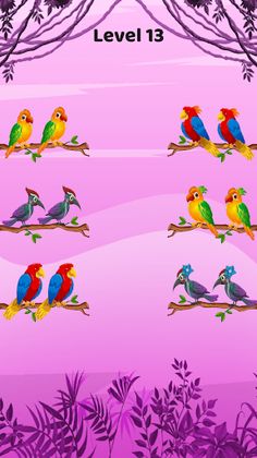 Bird color sort - Match puzzle - Screenshot 2