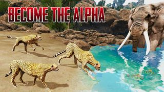 The Cheetah - Animal Simulator - Screenshot 1