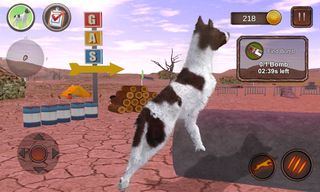 Greman Shorthaired Pointer - Screenshot 2