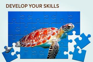 Sea Animals Jigsaw Puzzle - Screenshot 3