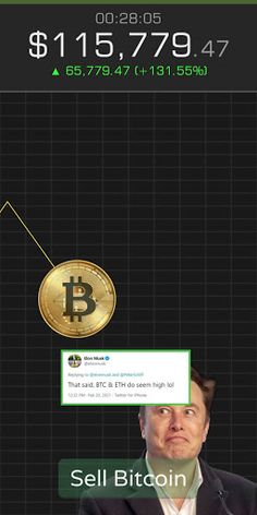 Bitcoin Crash - Screenshot 4