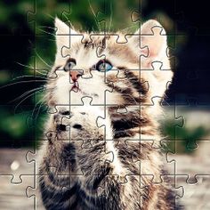 Cute cats app jigsaw puzzles - Screenshot 3