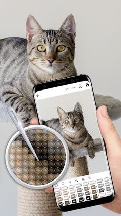 Cross Stitch Joy - Screenshot 3