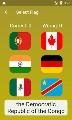 World Flags - Screenshot 2