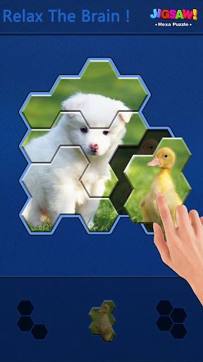 Jigsaw Puzzle -Hexa Block Game - Screenshot 3