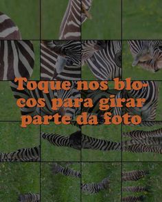 Quebra-Cabeça Mães e Filhotes - Screenshot 2