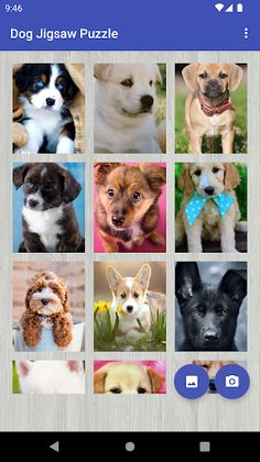 Dog Jigsaw Puzzle - Screenshot 4