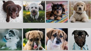 Puppy Dog Puzzle Slide - Slidi - Screenshot 2