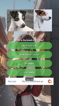 Quiz: Dog & Cat Breeds - Screenshot 2