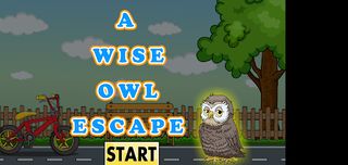 WiseOwlEscapes - Screenshot 1