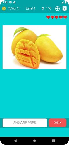 Guess the Fruit Name - Screenshot 1