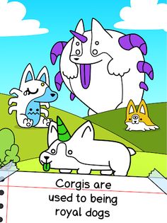 Corgi Evolution: Shiba Dogs - Screenshot 4