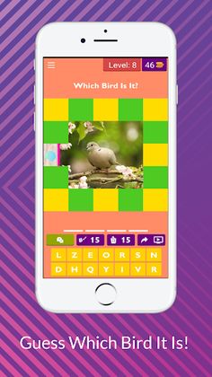 Guess Which Bird It Is! - Screenshot 4