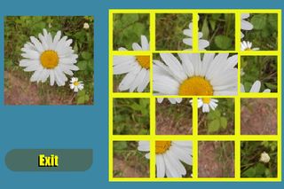 Flower Shuffle - Screenshot 2