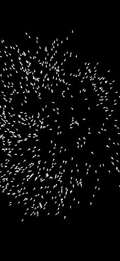 Boids 2D – flock simulation - Screenshot 1