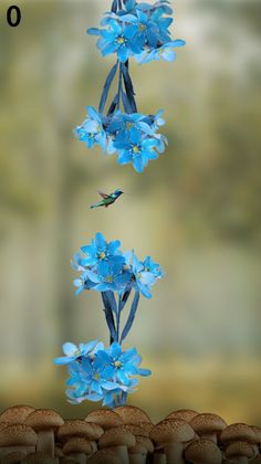 GLF Flying Bird - Screenshot 2