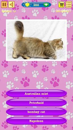 Cats Quiz - Screenshot 1