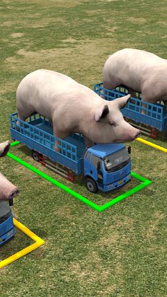 Pig Truck - Screenshot 2