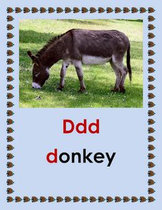 ECD FlashCards - Screenshot 3