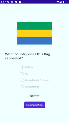 Guess The Flag - Screenshot 3