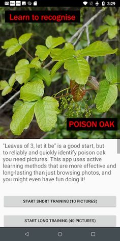 Poison Oak Training Game - Screenshot 2