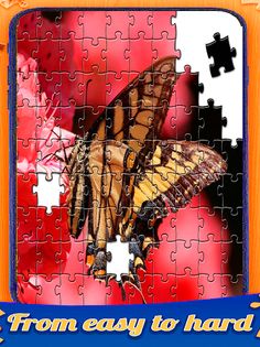 Butterfly jigsaw puzzle - Screenshot 2