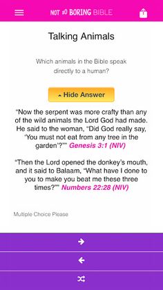 Not So Boring Bible - Screenshot 4