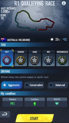 Formula Rising Star - Screenshot 3