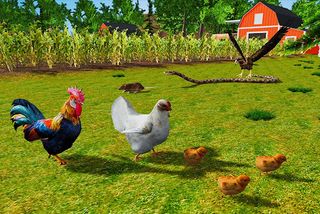 Rooster Simulator - Chick Life - Screenshot 3