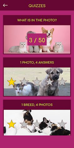 Cat & Dog Breeds Quiz - Screenshot 1