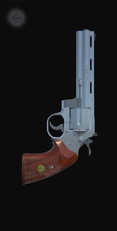 Revolver Simulator - Screenshot 3